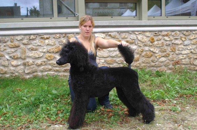 foire-haricots 2011-09-17et18